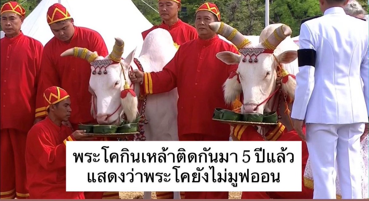 sutiฯ tweet media