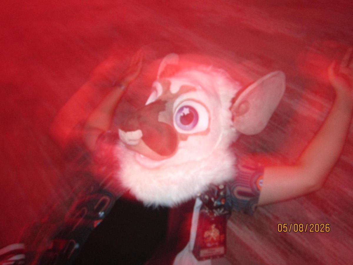 furtheque's tweet photo. furg → fwa → edc https://t.co/27sVGCxs20