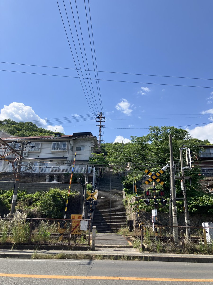 稲葉陽炎 tweet media