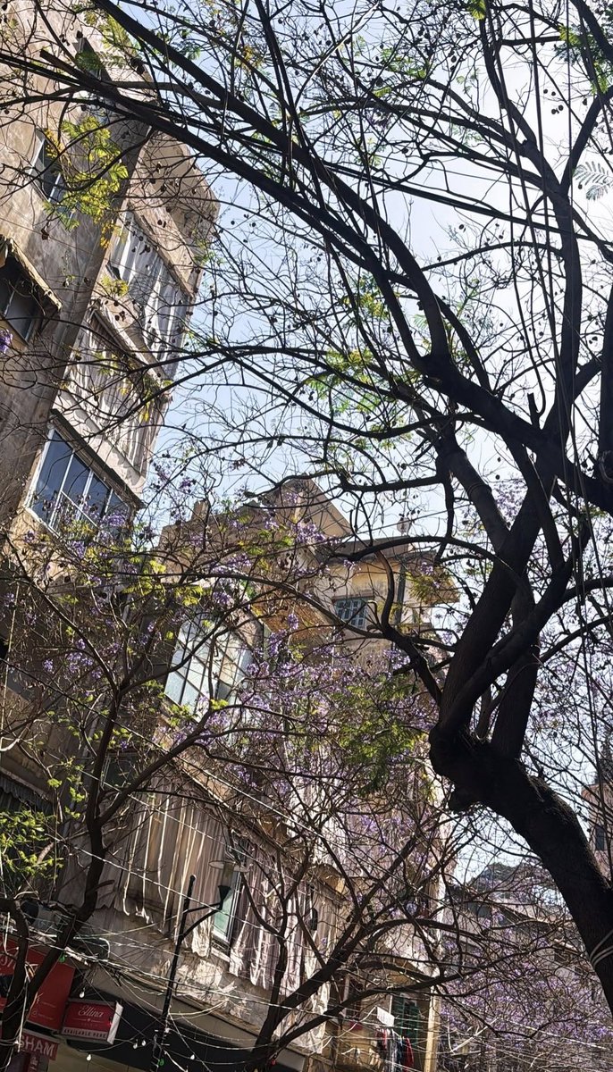 BeirutPhoto📸بيَرٍۆت || ᵇᵉᶤʳᵘᵗ tweet media