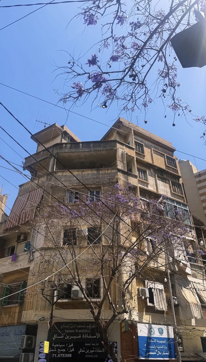 BeirutPhoto📸بيَرٍۆت || ᵇᵉᶤʳᵘᵗ tweet media