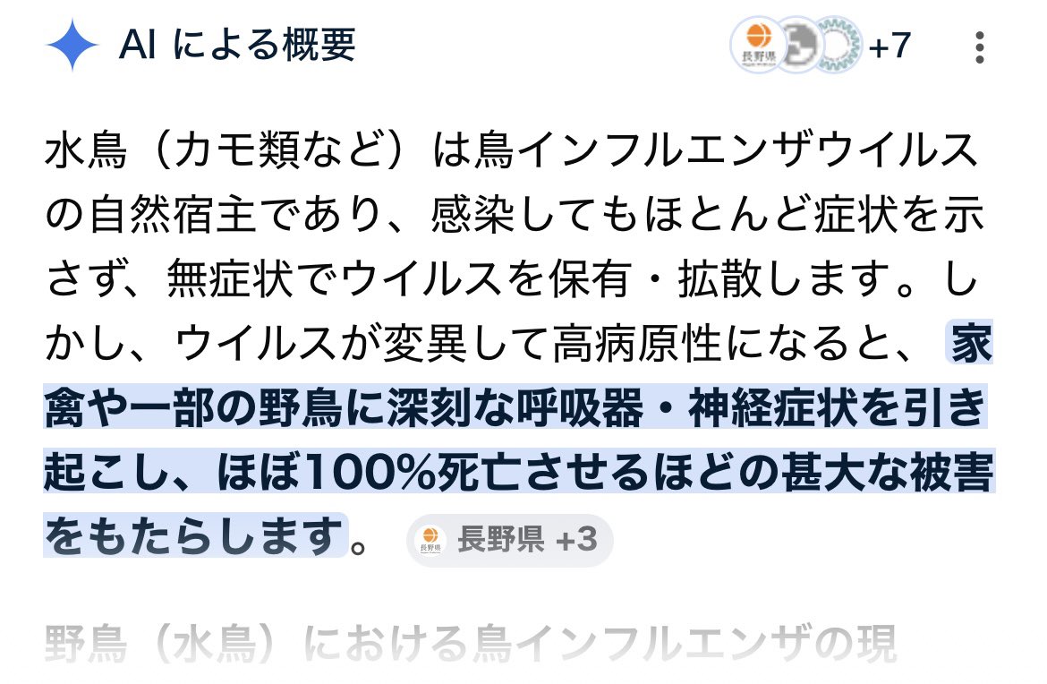 二代目サメの人 tweet media