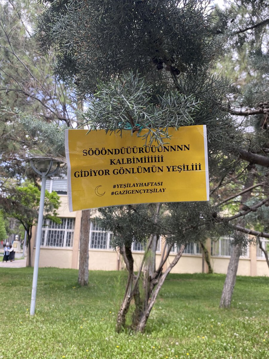 herhangi biri👩🏻‍🔬 tweet media
