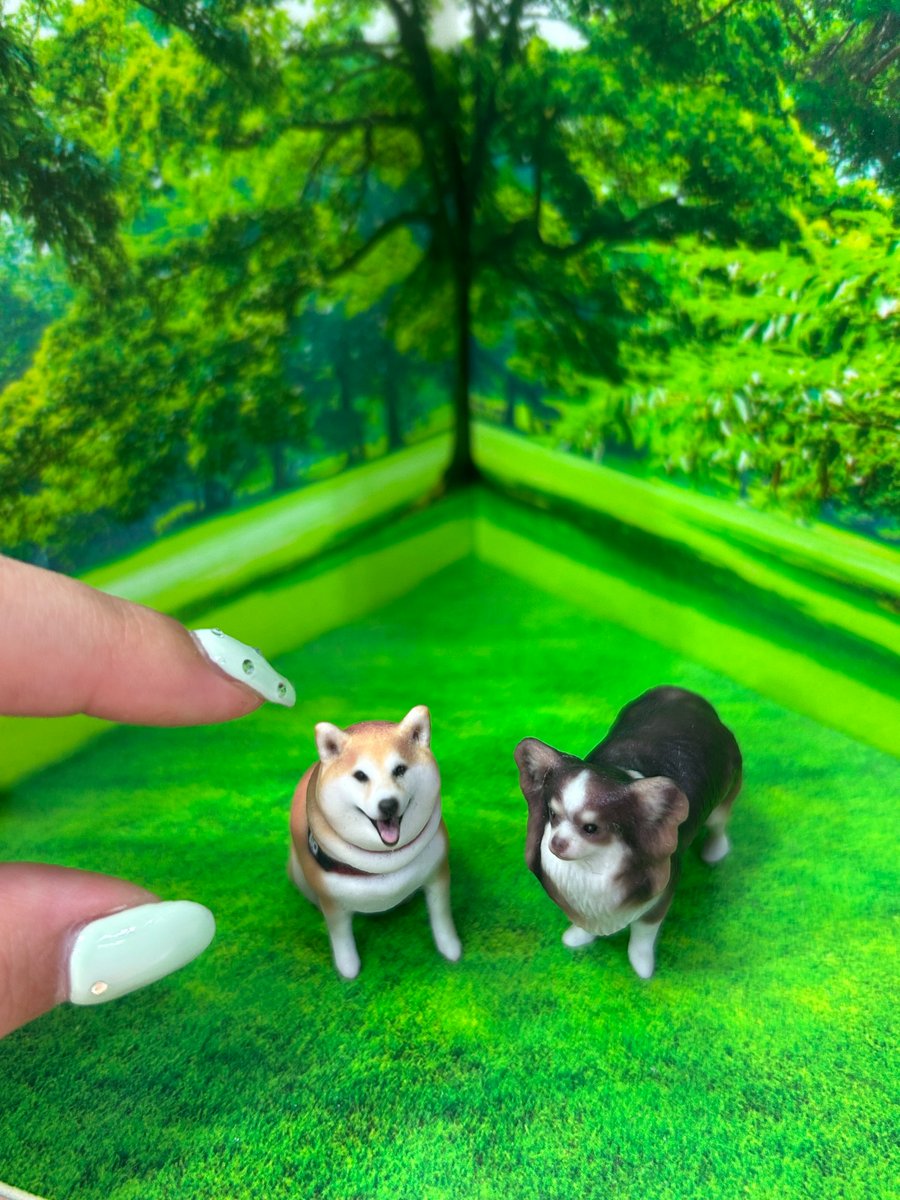 3DMe_jp's tweet photo. 本来なら2倍近い体格差があるチワワと柴犬が、
揃って「5cm」サイズに！🐶🐾

まるで小さくなる魔法にかかったようなリアルさ。
SpaceキーとEnterキーにすっぽり収まるサイズ感は、ついついデスクに飾りたくなっちゃいます⌨️☕ https://t.co/rx2VoU0p2t