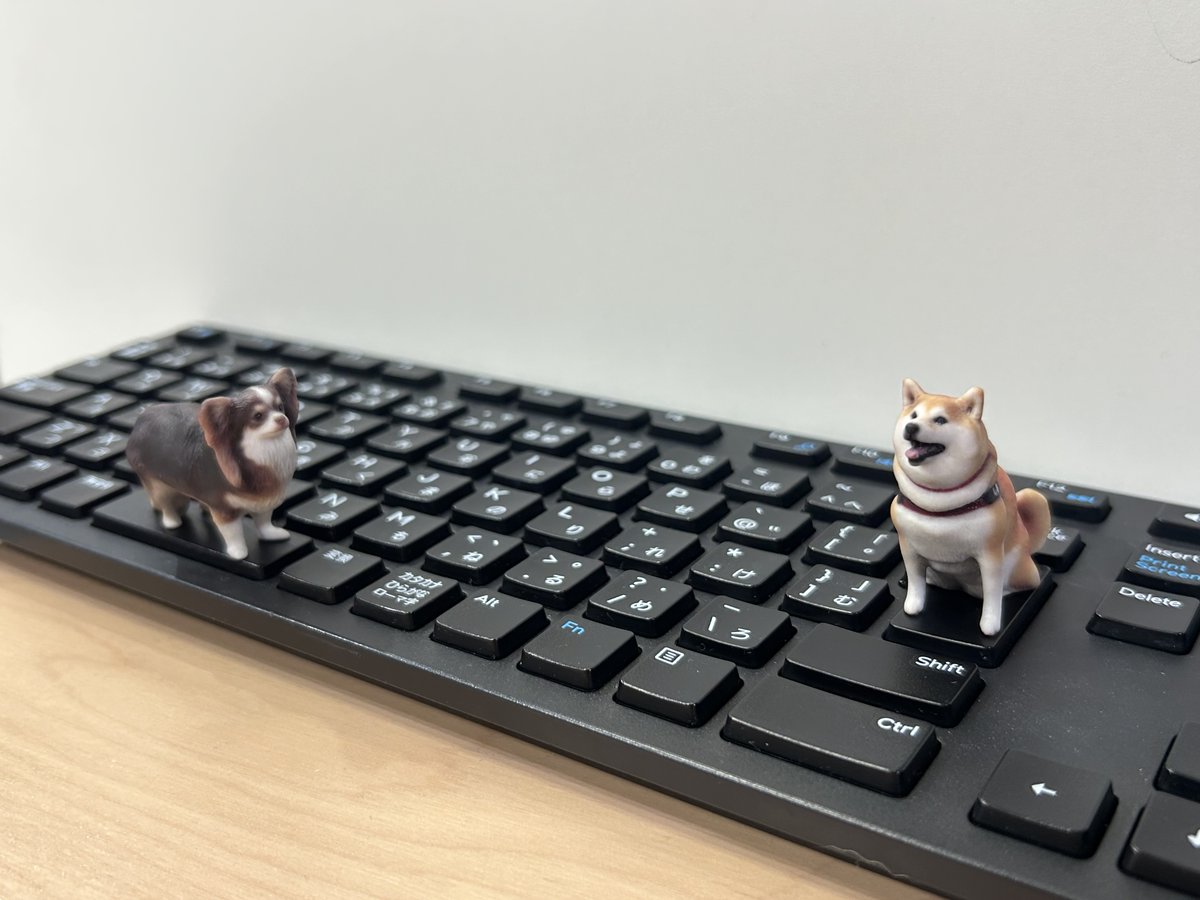 3DMe_jp's tweet photo. 本来なら2倍近い体格差があるチワワと柴犬が、
揃って「5cm」サイズに！🐶🐾

まるで小さくなる魔法にかかったようなリアルさ。
SpaceキーとEnterキーにすっぽり収まるサイズ感は、ついついデスクに飾りたくなっちゃいます⌨️☕ https://t.co/rx2VoU0p2t