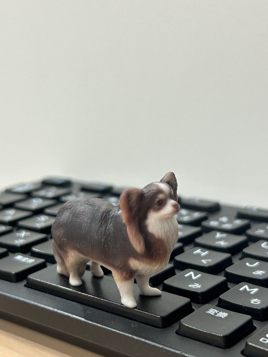 3DMe_jp's tweet photo. 公式LINEにて店頭予約受付中！
友達追加・ご予約は以下のリンクより↓↓↓
https://t.co/fmkI1fBQ4P

#3DME #3Dフィギュア  #オリジナルフィギュア #ペット #犬のいる暮らし #うちの子が可愛すぎる https://t.co/vsO9fv9pKB