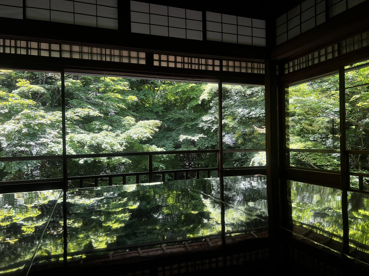 aruariandepart's tweet photo. early afternoon at ruriko-in https://t.co/AdsRPdexjB