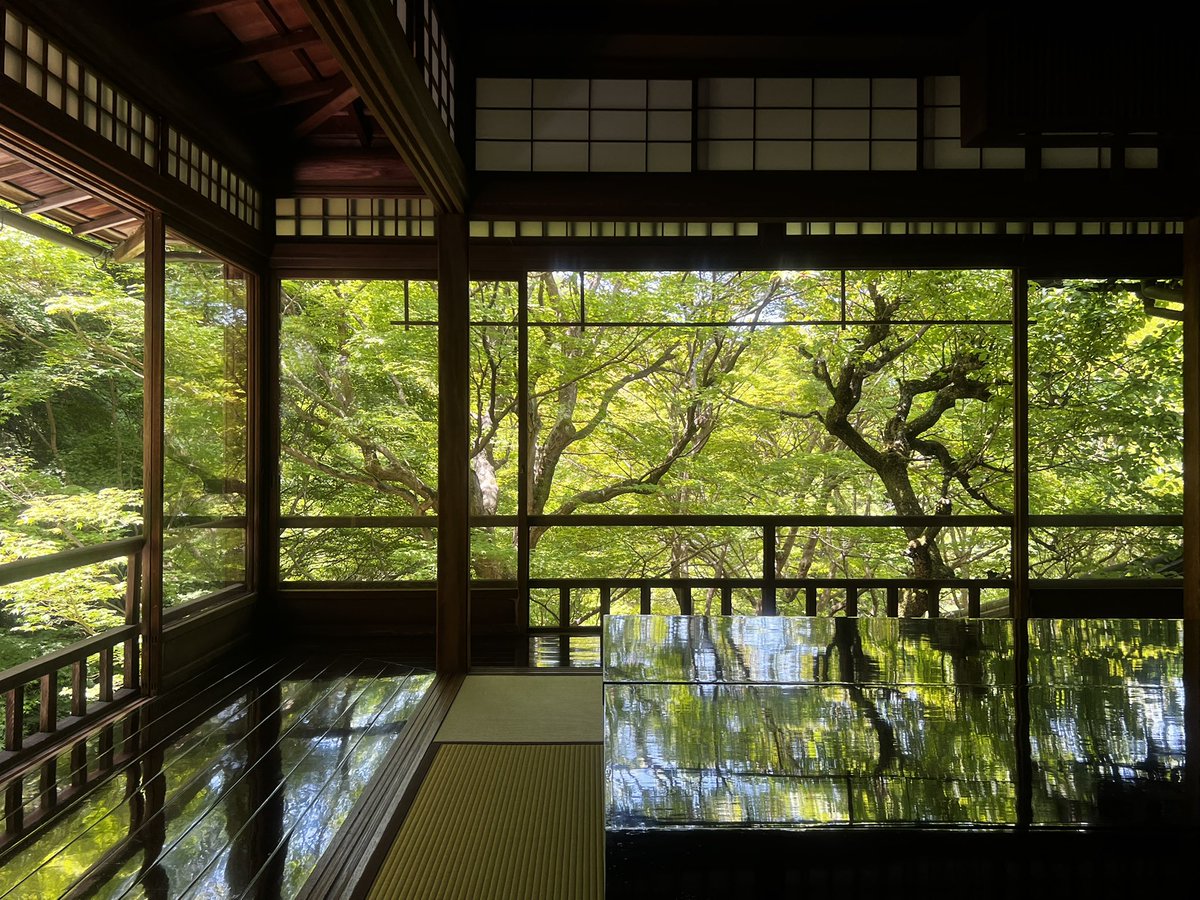 aruariandepart's tweet photo. early afternoon at ruriko-in https://t.co/AdsRPdexjB