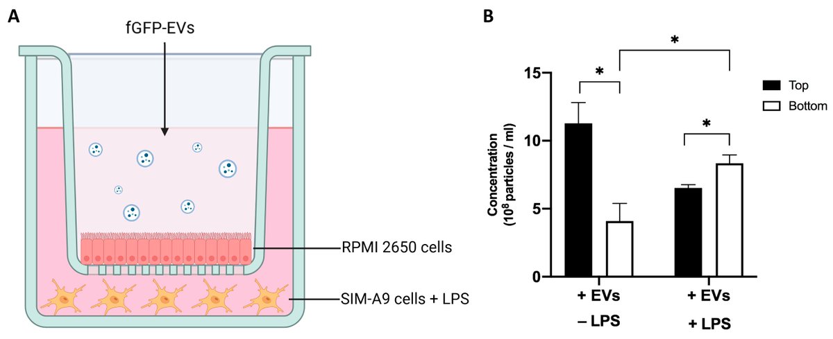 Cells MDPI tweet media