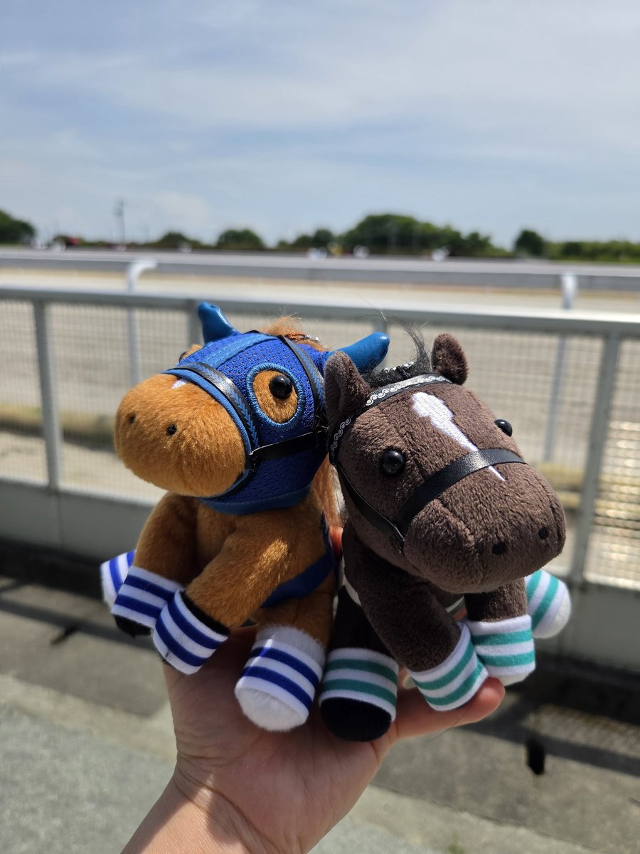 子孫を見守るお二方 ファンサを貰って嬉しかった様子🤗 #ウオッカ