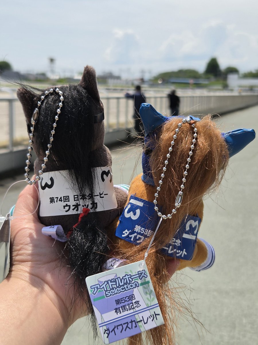子孫を見守るお二方 ファンサを貰って嬉しかった様子🤗 #ウオッカ