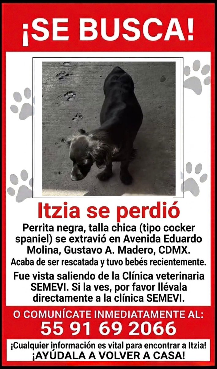 Tania tweet media