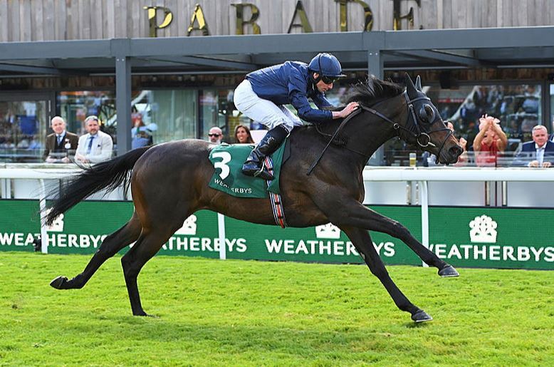 The Irish Field tweet media