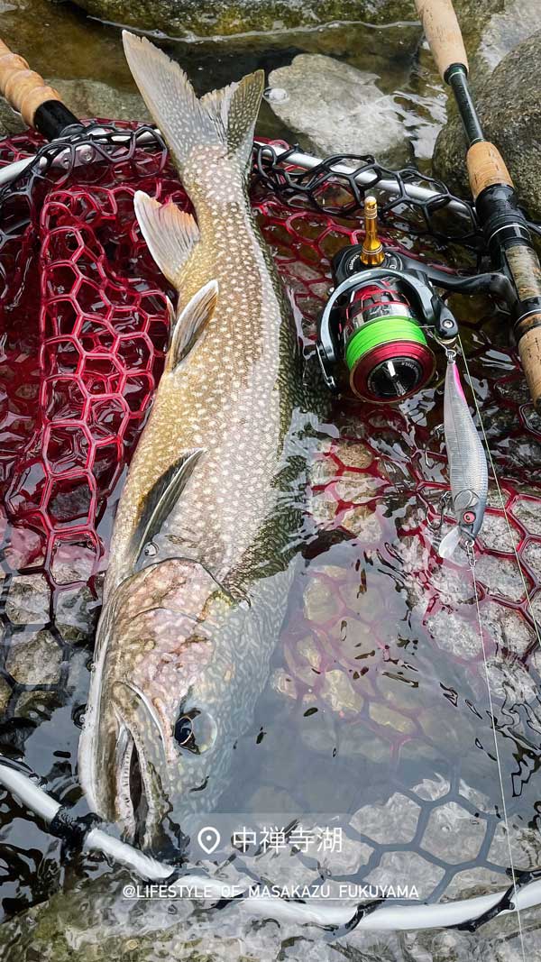 メガバス干支,PT.Factory Flicker Mash,ZEAL BASK Megabass blog】中禅寺湖 ゴールデンウィーク初期 スタッフ 福山 正和