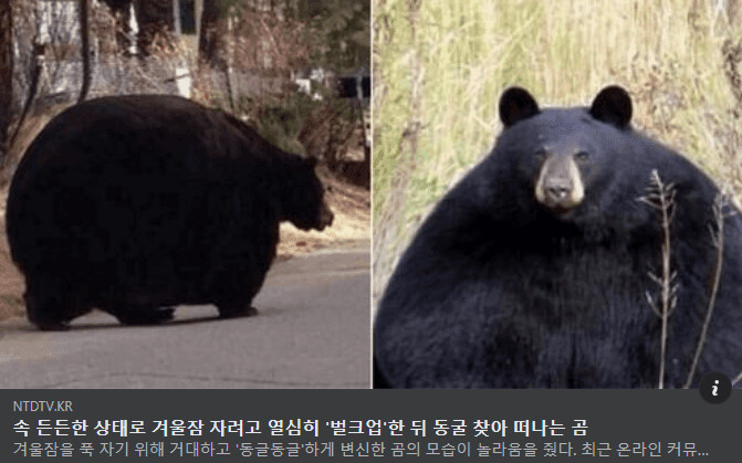 억개☃︎ tweet media