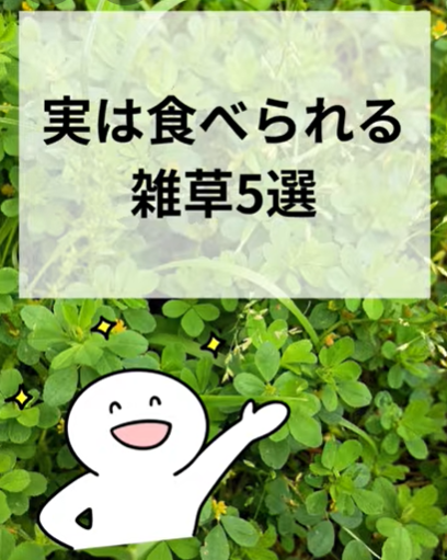 トロッコ/イラストレーター tweet media