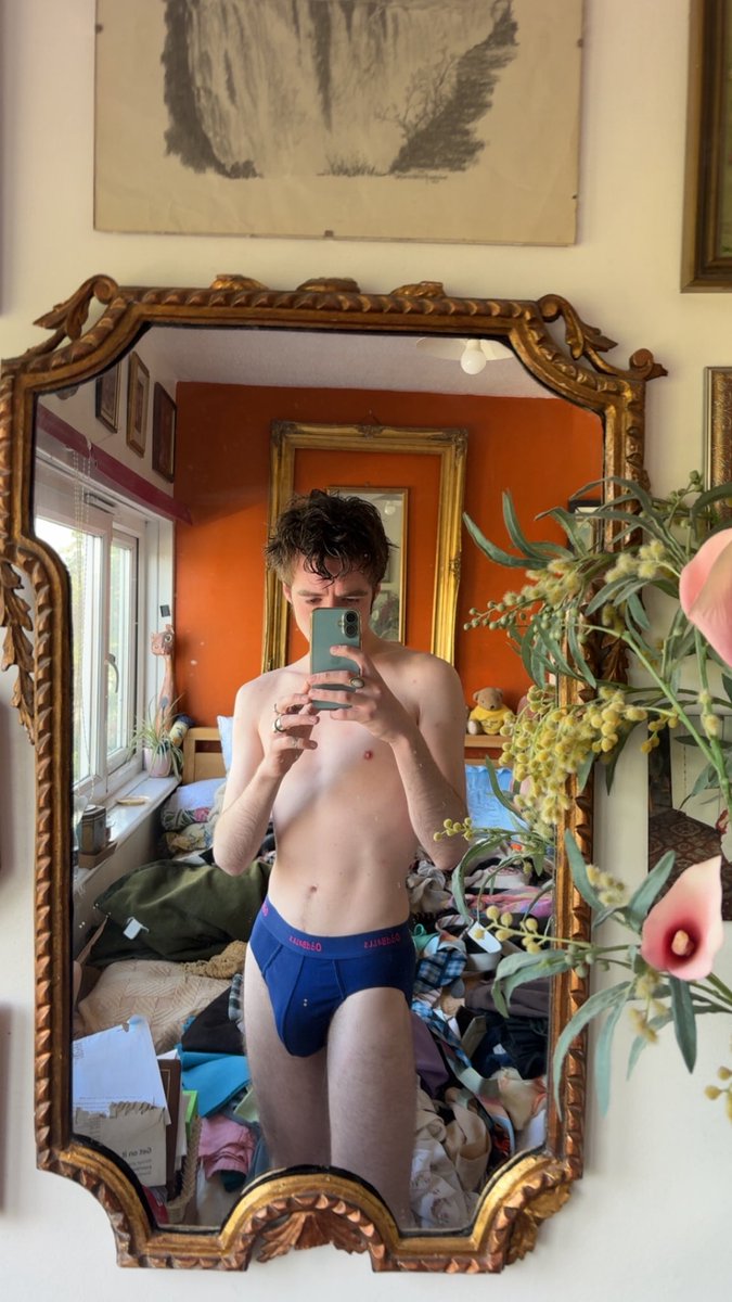 disco david tweet media