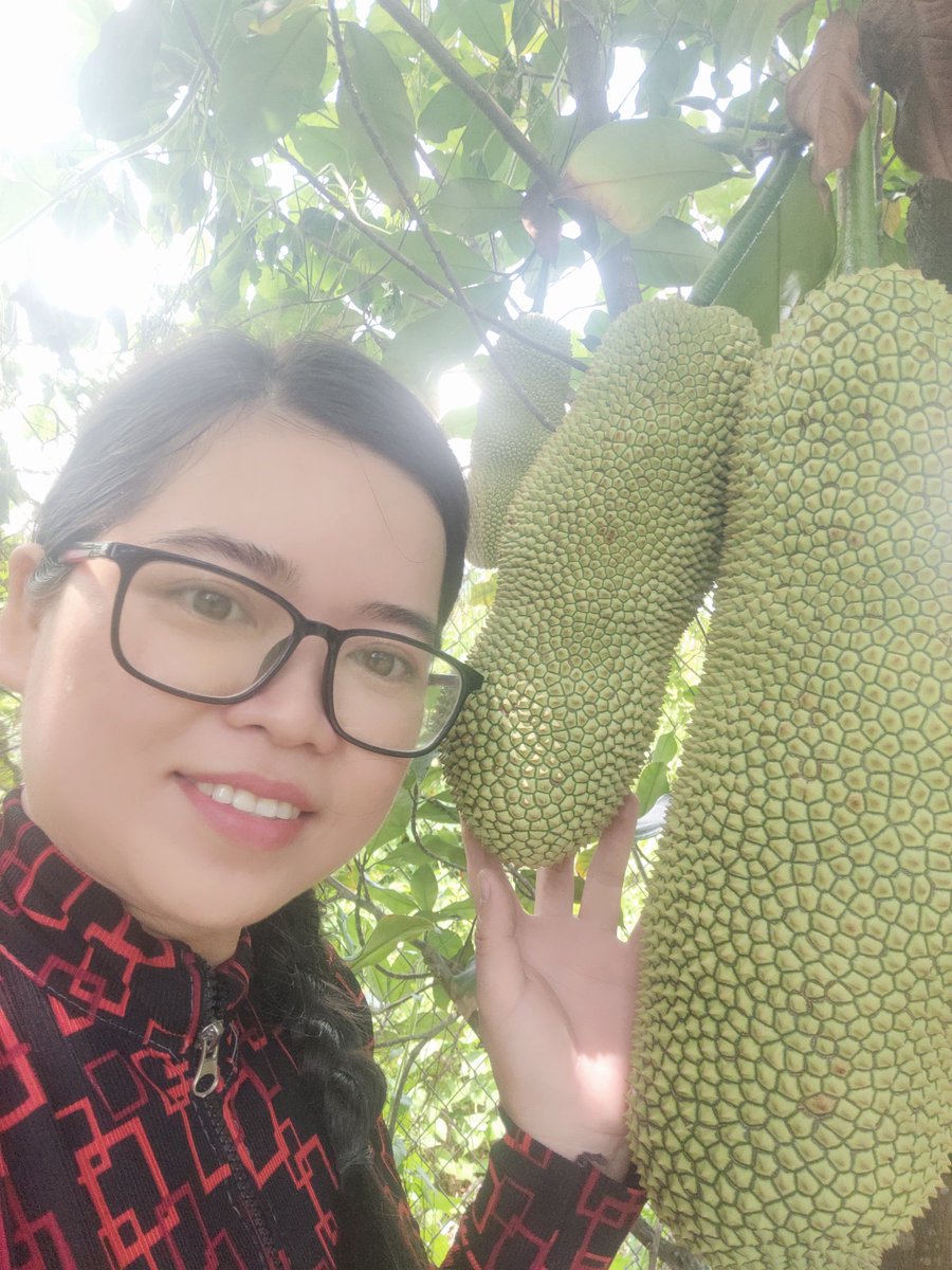 Trần Ngọc Trăm | Summer tweet media