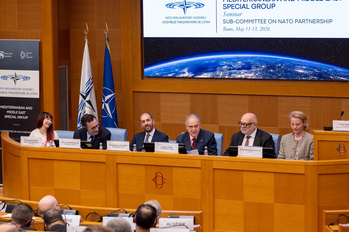 NATO PA / AP-OTAN tweet media