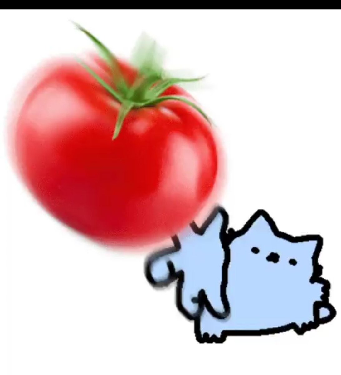 ιм яσѕє tweet media