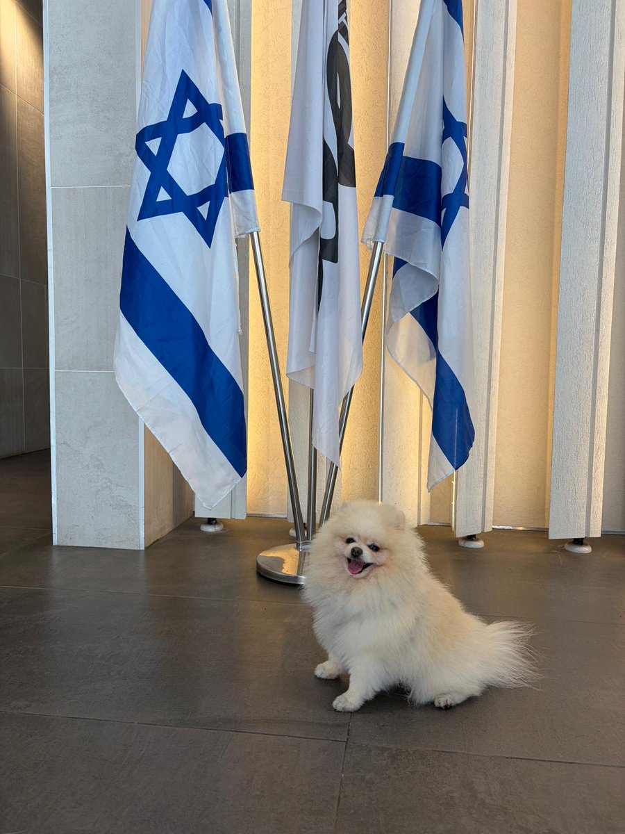 Israel ישראל tweet media