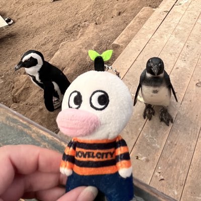 らぶ tweet media