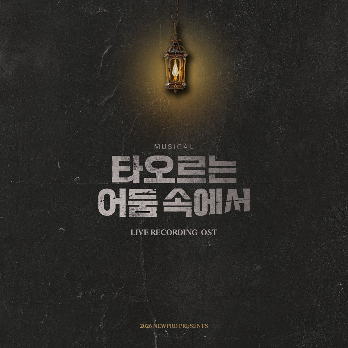 김덕녀 (전 계정 정지당함) tweet media