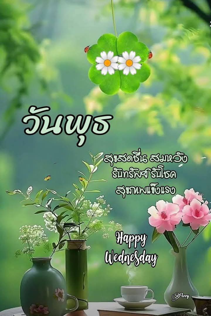 🇹🇭(KruTa)🇹🇭 tweet media