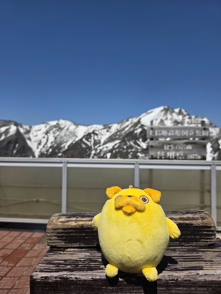 pagtaro_info's tweet photo. 山登りに行ってきたパグ太郎🐾

絶景を前に、ぽかーん…⛰️✨
放心してるお顔に、
こっちまでほっこり😊💛

#おじカワ
#パグ太郎 https://t.co/7x1XcfUd67