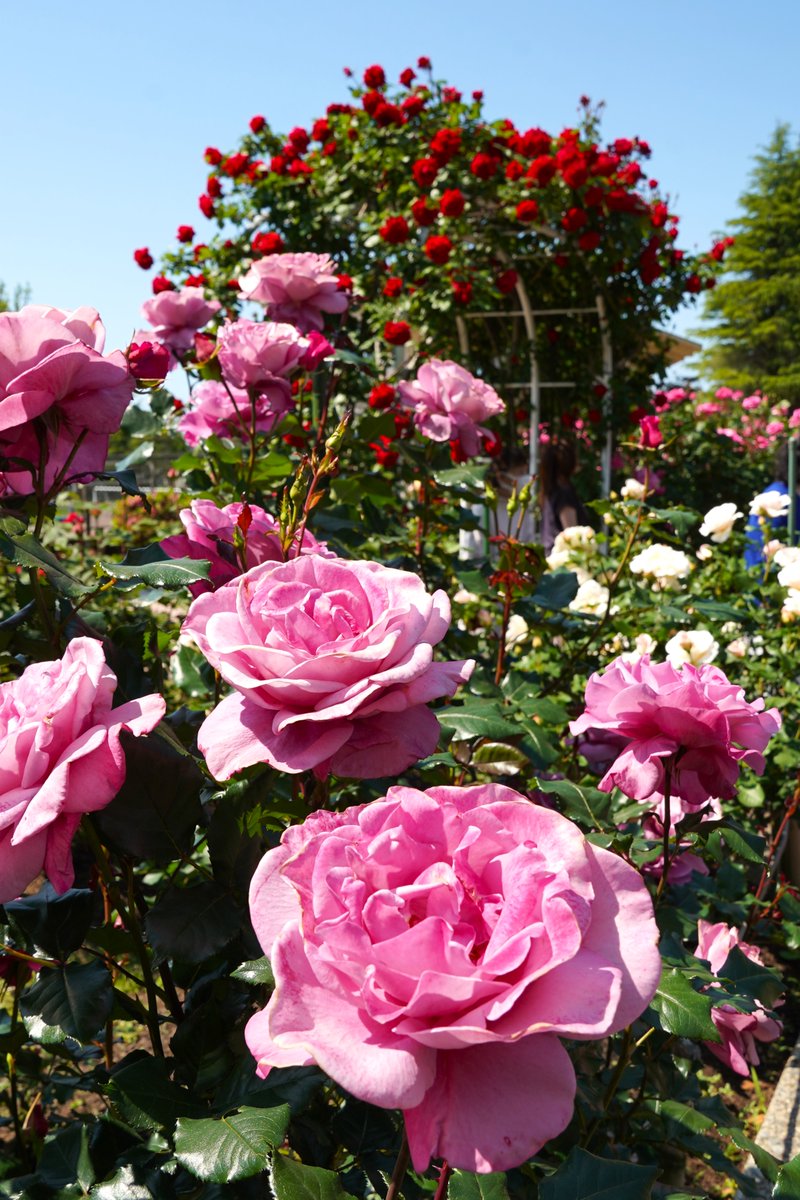 国分 紀芳（北陸経済ニュース配信） tweet media