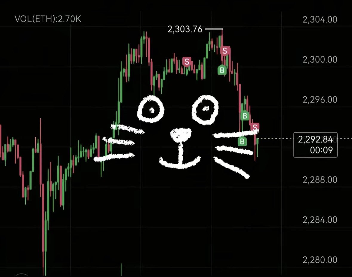 Crypto Cocoa tweet media