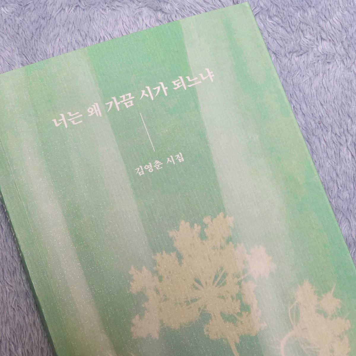 미취 tweet media