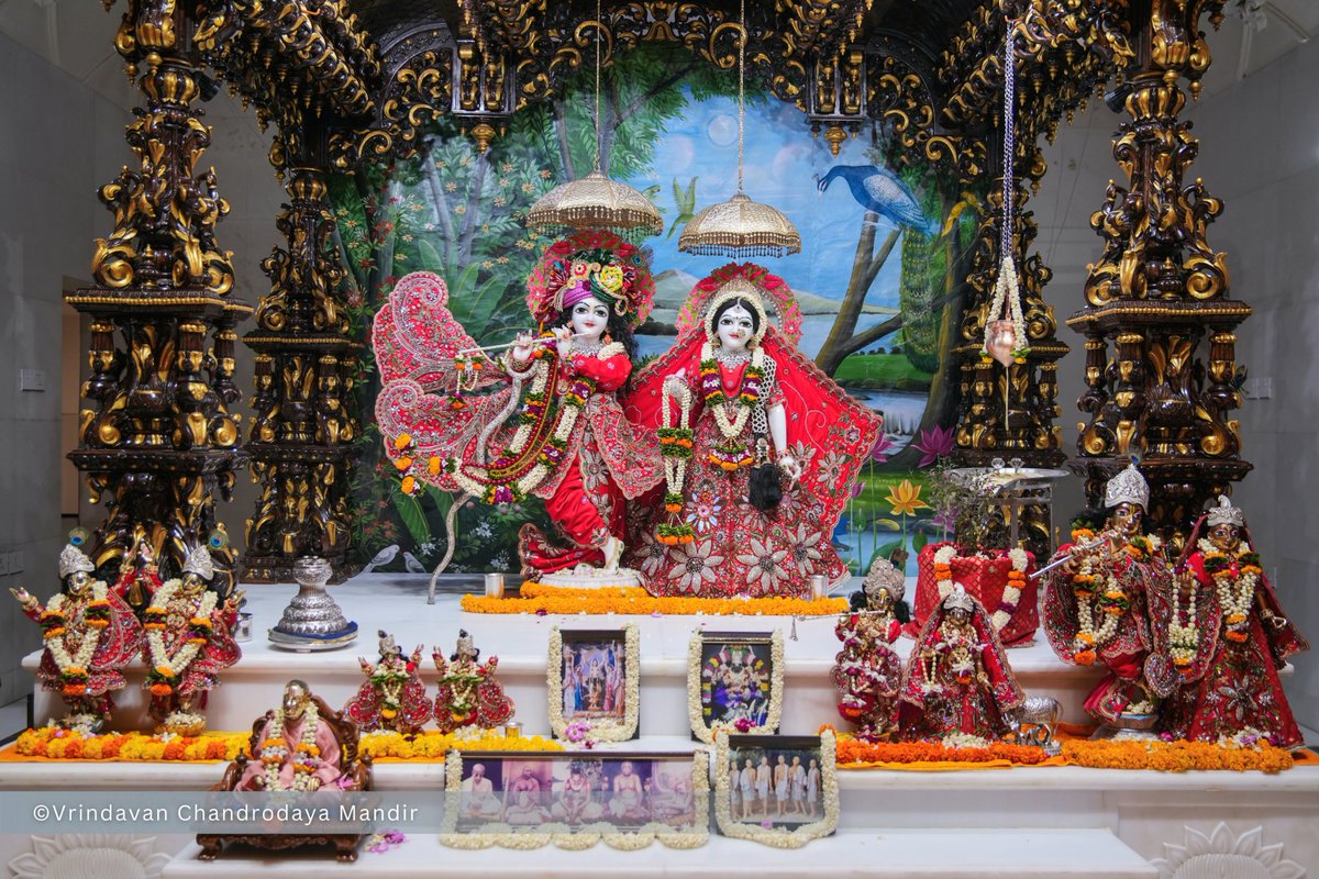 Vrindavan Chandrodaya Mandir tweet media