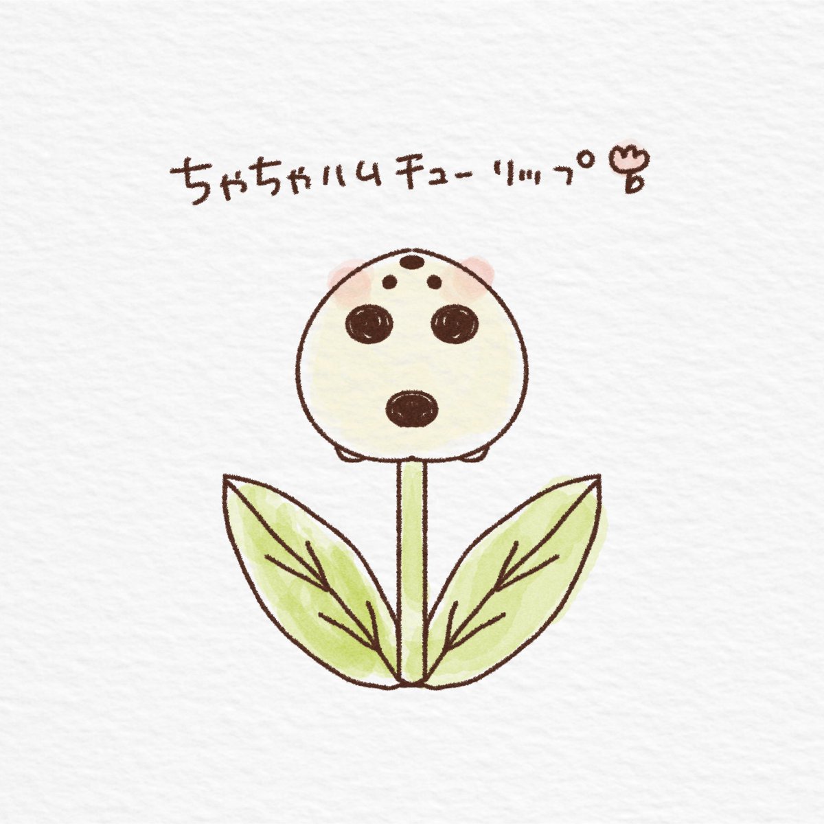 ちゃちゃハムチューリップ🌷🐹
