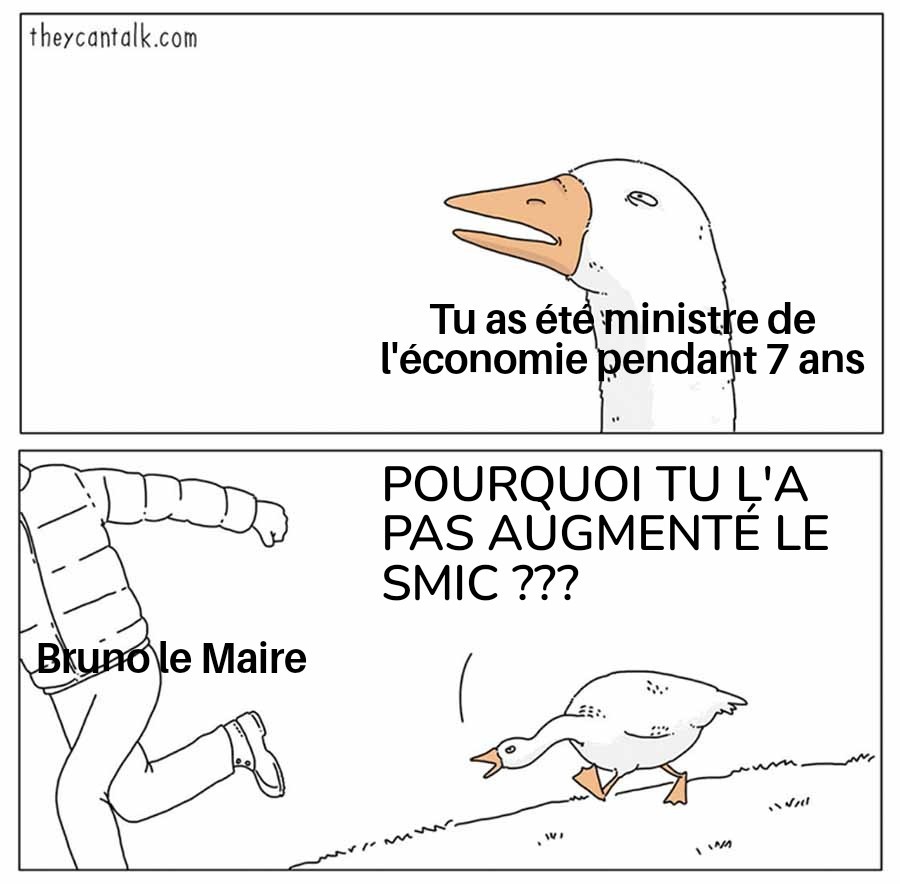 Vilain Syndicaliste tweet media