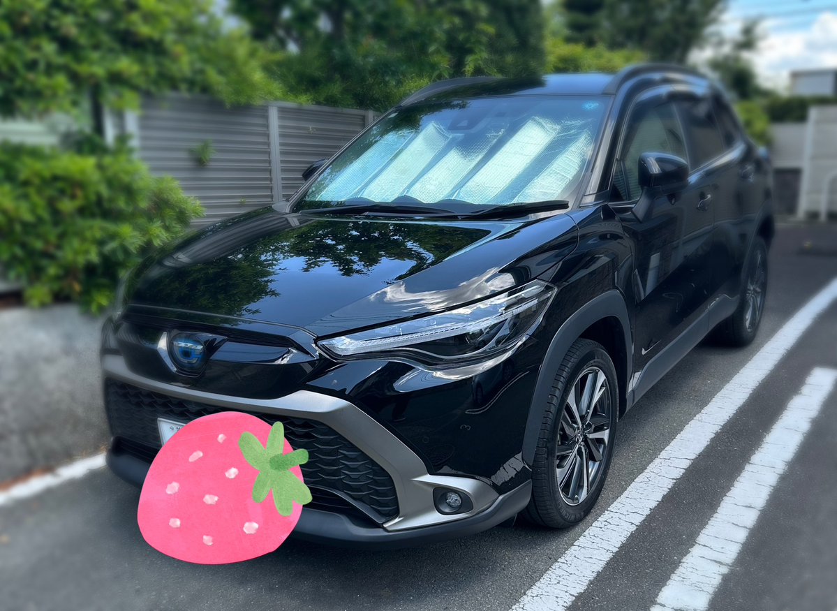 ピカピカちゃん専用♡ ピカピカ