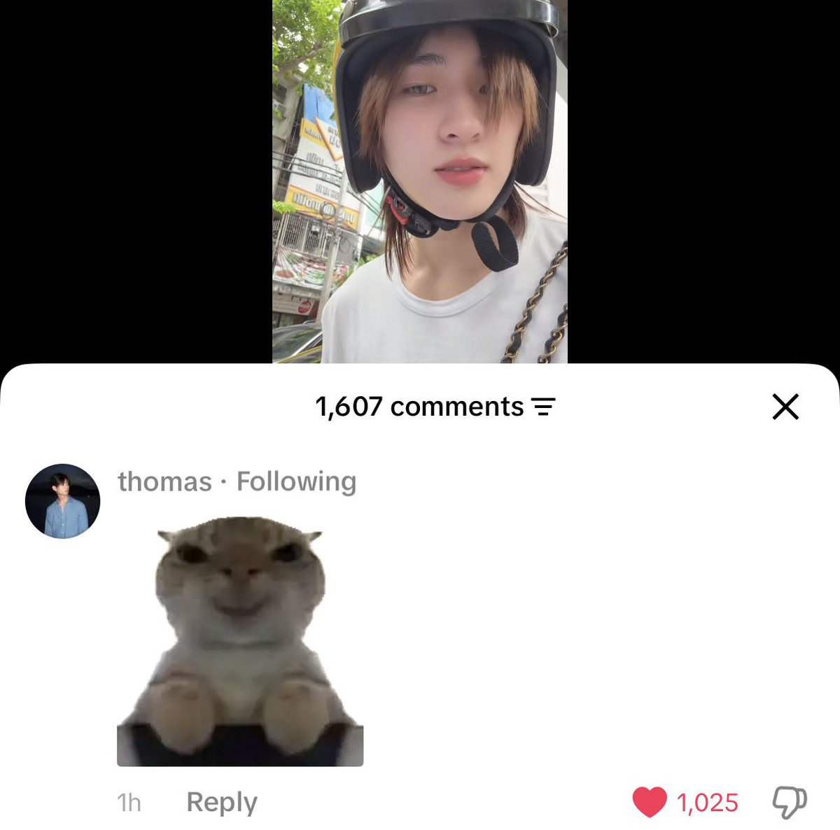 𝒃𝒐𝒓𝒃𝒐𝒓⋆.˚🦢⋆ tweet media