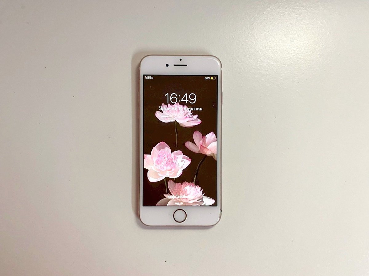ไอโฟนมือสอง | bunniphone ₊˚𓆝 tweet media