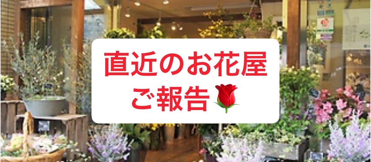 あんちゃん🐈⬛|低スぺ✖️お姉さん系の方🌹フラワーデザイナー🌹 tweet media