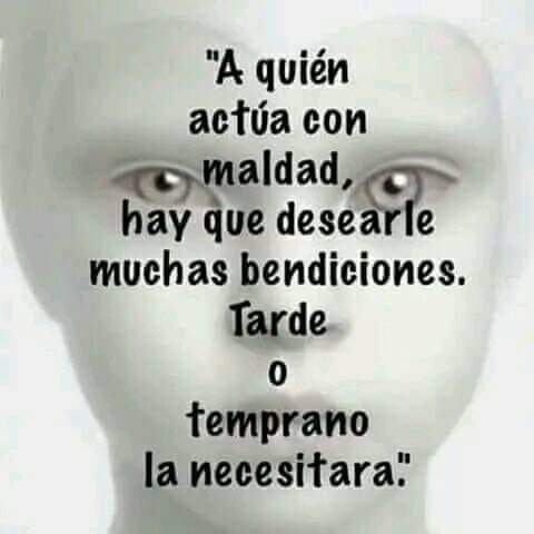 El buscador tweet media