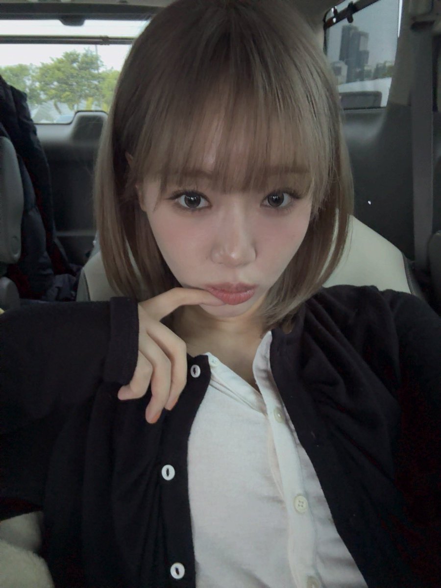 최콩알 tweet media