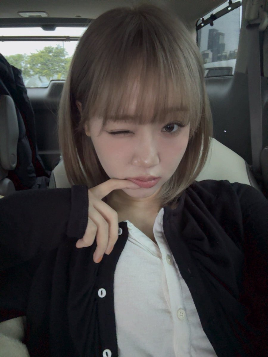 최콩알 tweet media