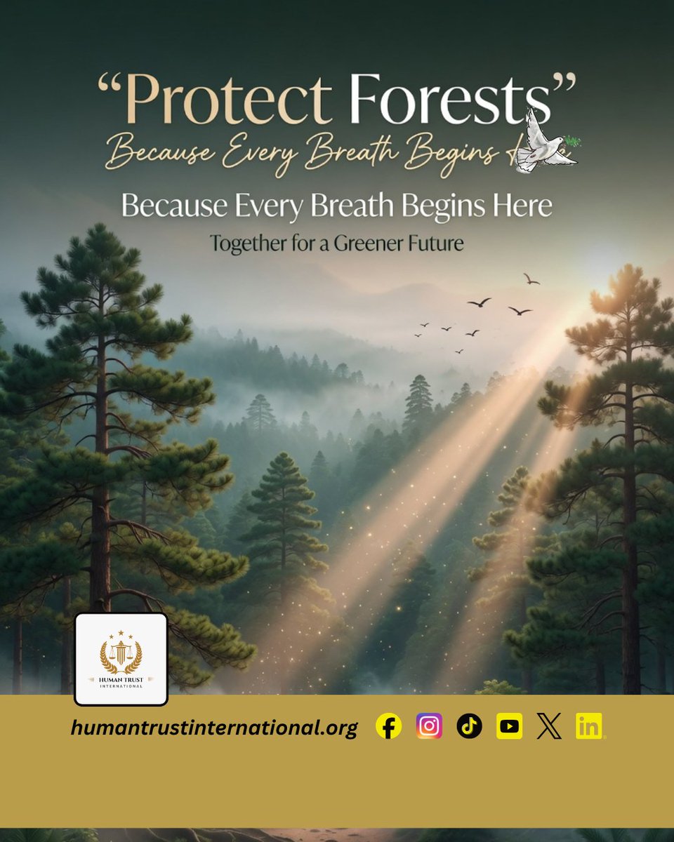 humantrustint's tweet photo. 🌍🌲
Forests are not just trees — they are the lungs of our planet, the home of wildlife, and the future of coming generations. 💚Every tree we protect is a step toward cleaner air, healthier lives, and a greener Earth. Together, we can create a sustainable future for all. https://t.co/PDOHYVfOdp