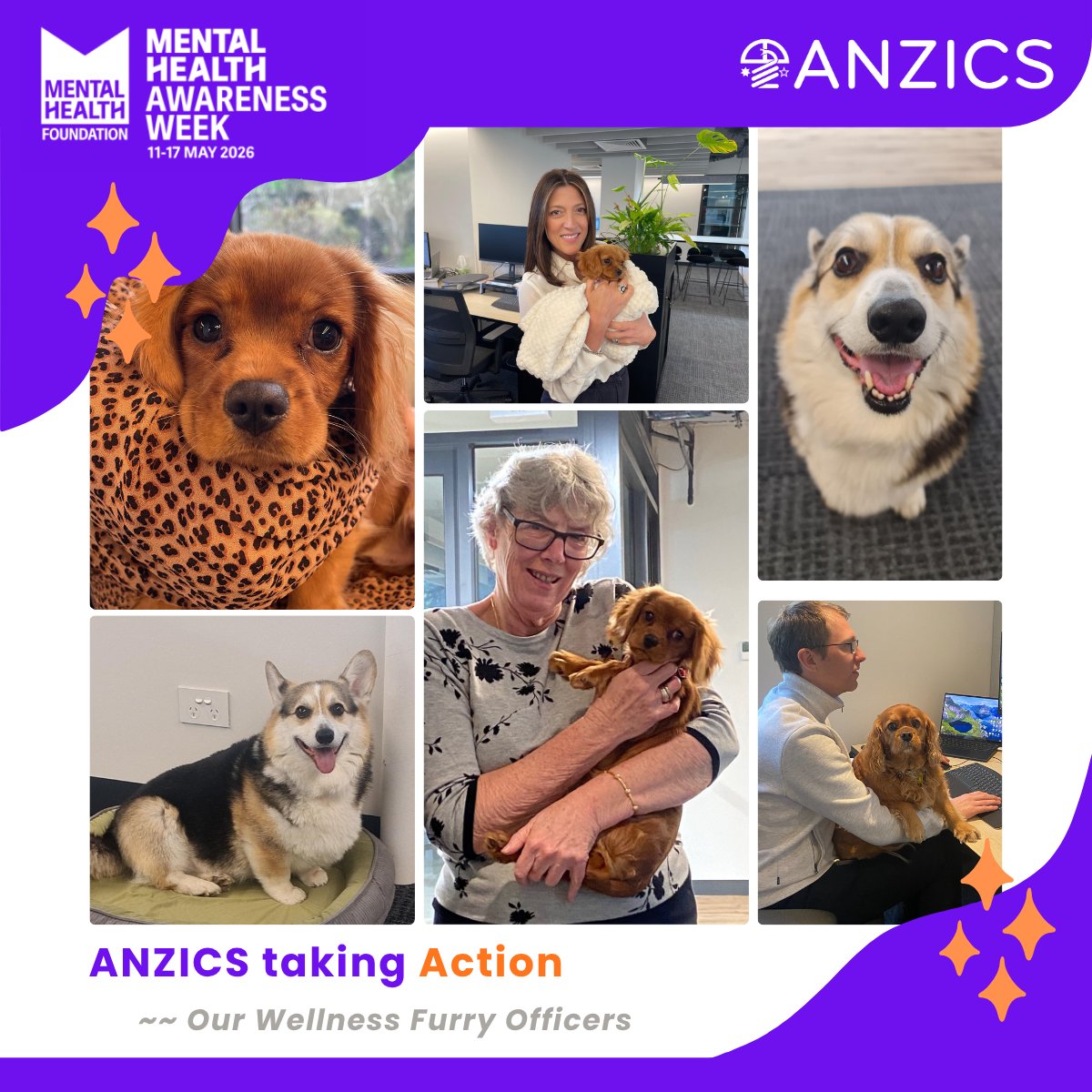 ANZICS tweet media