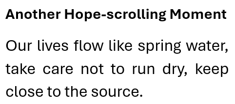 Dave Hopwood tweet media