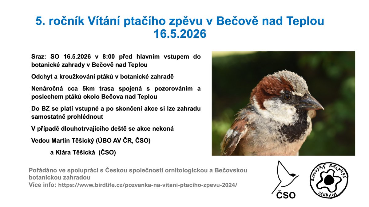 MartinTesicky's tweet photo. Pojďte s námi za ptačím zpěvem do Bečova nad Teplou. Těšíme se na Vás již tuto sobotu 16.5.2026 v 8:00 spolu s @ivb_cas a @birdlifecz. https://t.co/OlvG7h7YOD