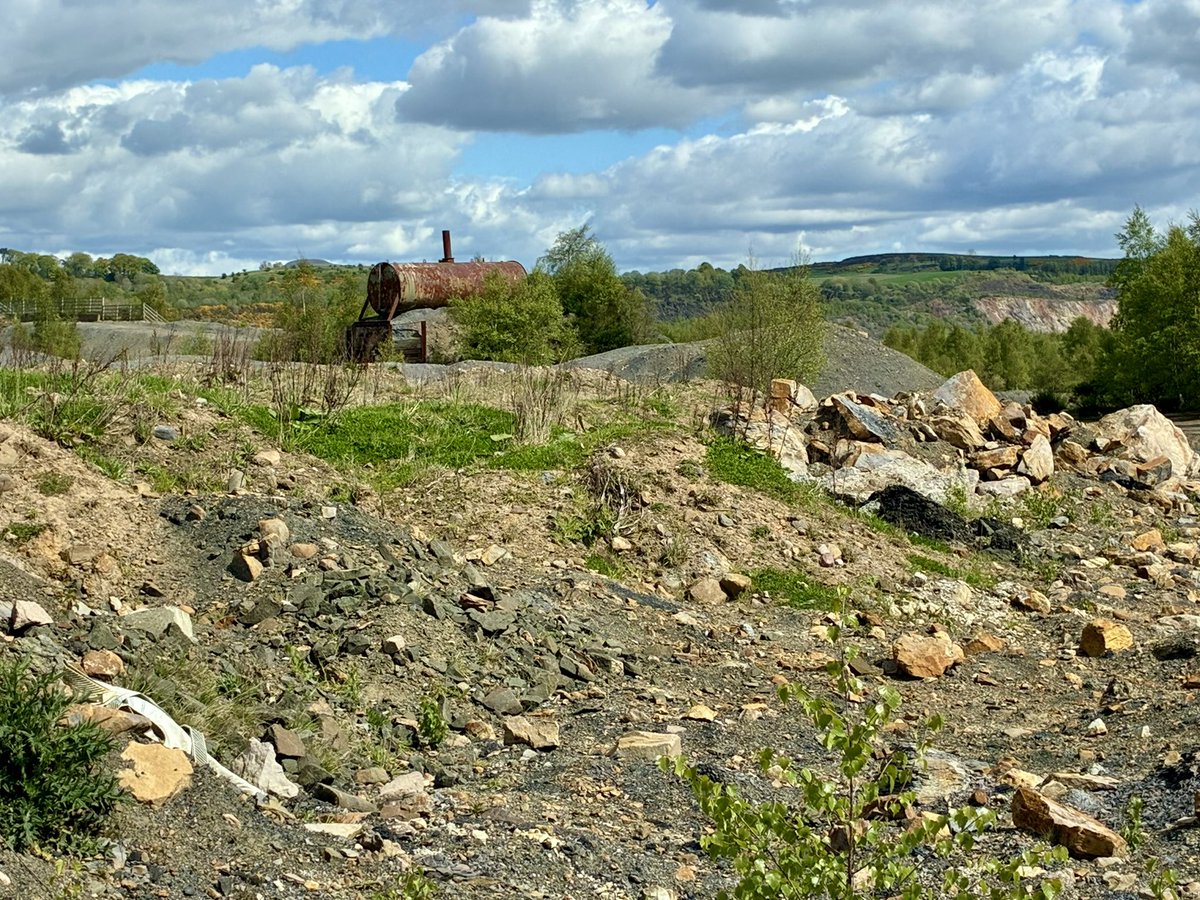 coal_legacies's tweet photo. Last week also saw the team out at the former opencast coaling site at Westfield between #Kinglassie and #Ballingry #Fife scoping the #ecology and #geology ready for the first event in our intergenerational ‘Coalscapes’ series (programme out soon) 
#MiningLandscapes https://t.co/g9jDeJm8FC