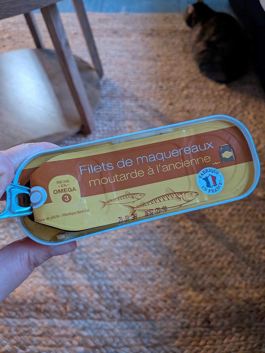 TimeIsBrain 🦊☀️ tweet media