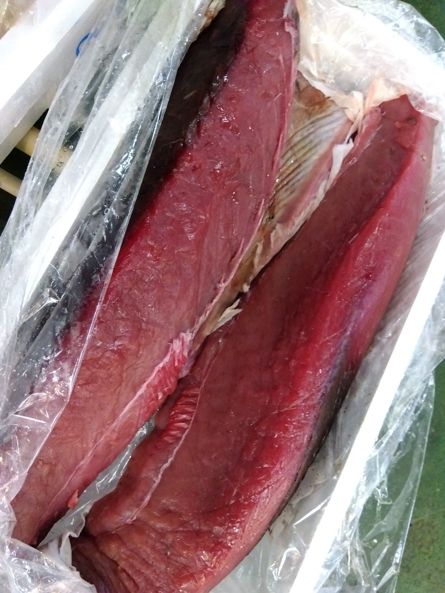 masquelero's tweet photo. 3月からこのかた
#晩酌 の肴は殆ど
#メバチマグロの刺身 です（笑）
綺麗に柵取り出来ないとか
色がくすんで価値が低いとか
そんな #マグロ ばかり
ほぼ毎晩食べています。
画像はキレイですが
確かに刺身にし辛い身質です。
でもんまいのでヨシ😋
#お腹ペコリン部 #おうちごはん #twitter晩酌部 https://t.co/FDqxxw91lK