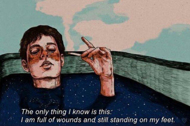 🍂 tweet media